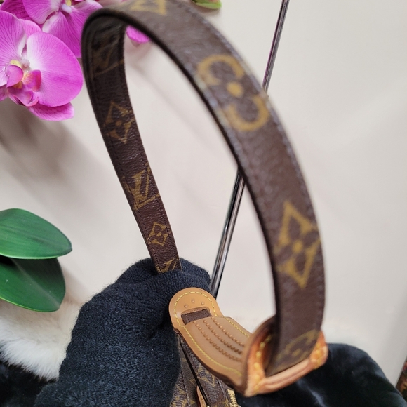 LV Amazon - Picture 14 of 16